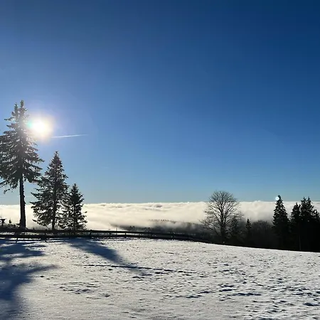 Naturfreundehaus Brend Furtwangen