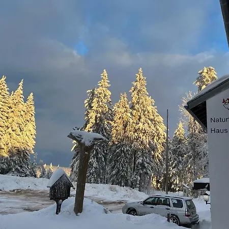 Naturfreundehaus Brend * フルトヴァンゲン