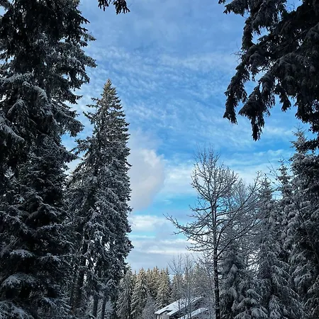 Naturfreundehaus Brend Pensionat